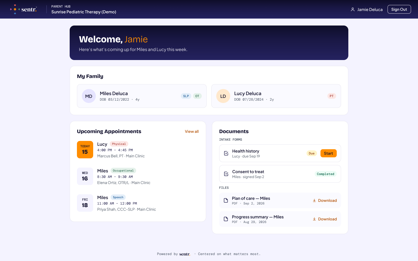 Parent Hub home with upcoming visits, family, forms and documents (demo data)